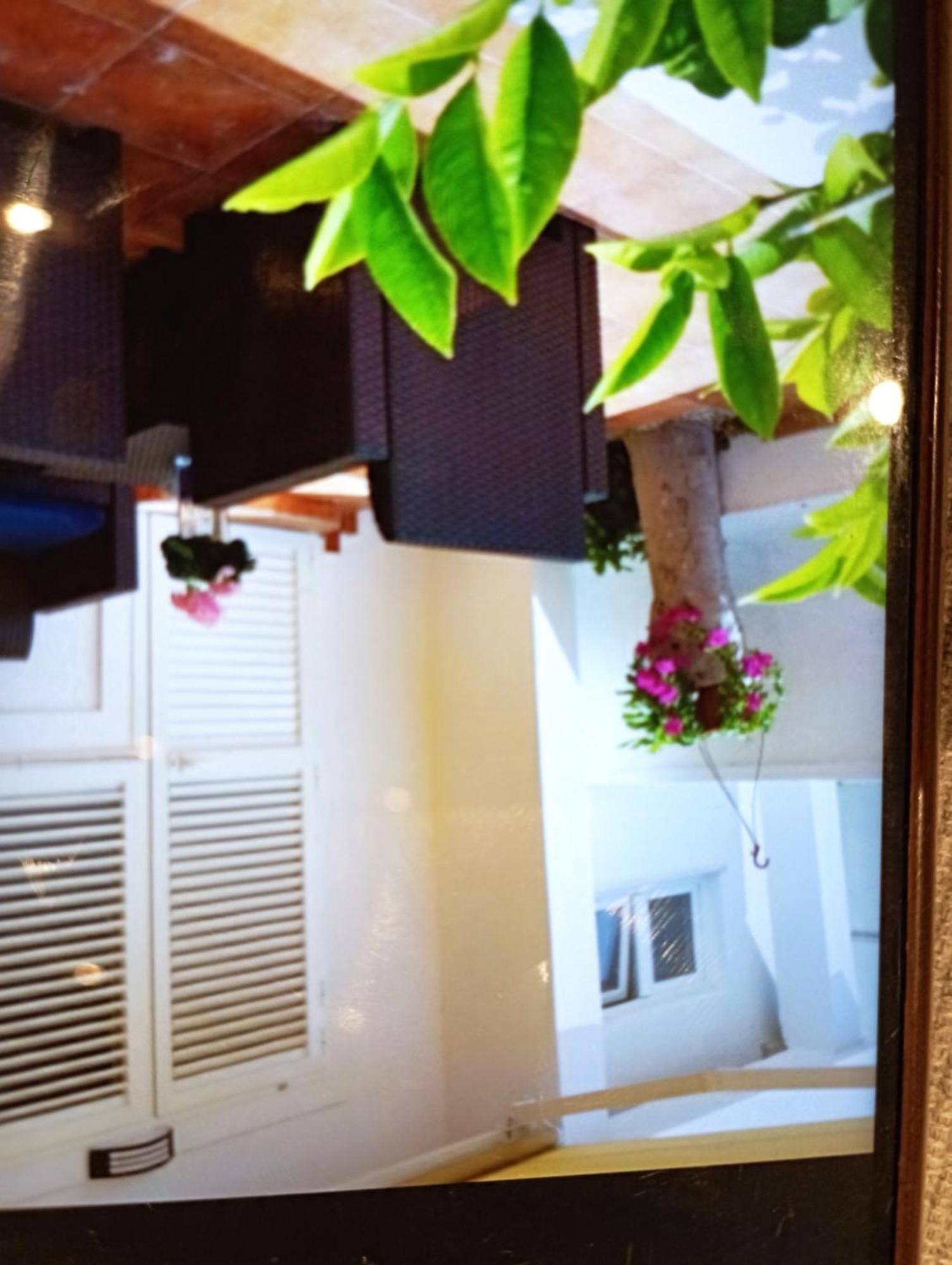 Apartmani Trubi 1 Vodice Kültér fotó